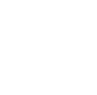 投票の流れ