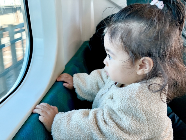 電車の車窓から外を眺める子ども