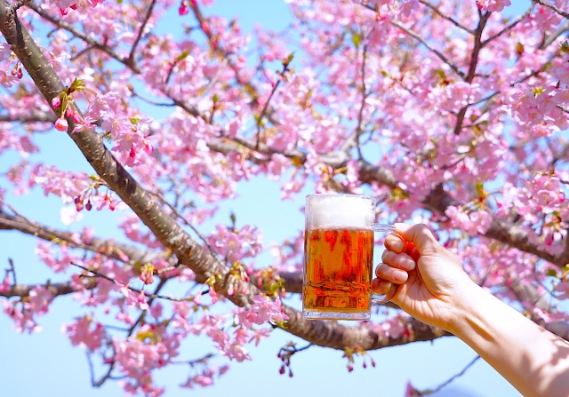桜とビール