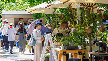 GREEN_THUMB_MARKET（グリーン・サム・マーケット