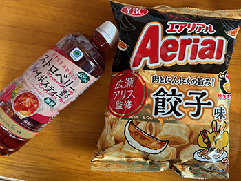 エアリアル 餃子味