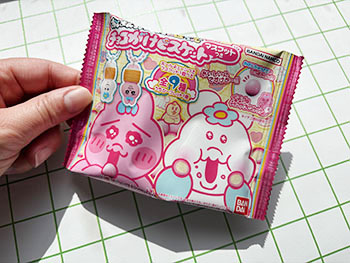 おぱんちゅうさぎ×んぽちゃむ チョコがけビスケット マスコット付き