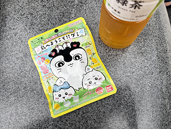 島へようこそ!!グミ