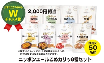 Wチャンス賞