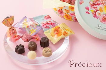 メリー　プレシューシリーズ