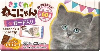 正栄デリシィ｜きまぐれねこにゃん