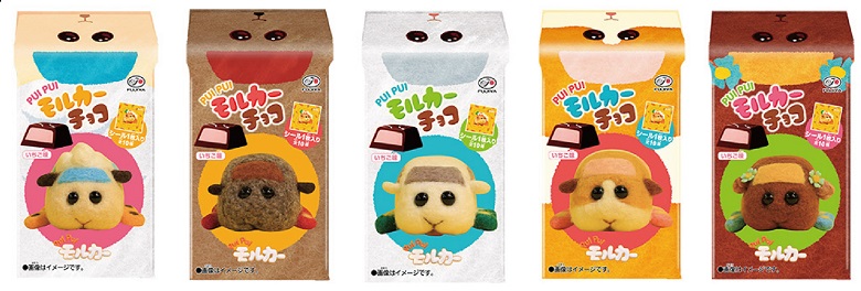 モルカーチョコ一覧