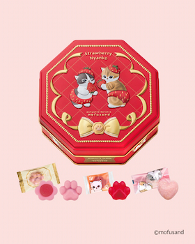 松風屋｜ぷにゅっところっとmofusand