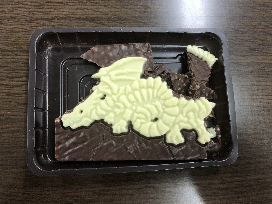 発掘恐竜チョコ結果