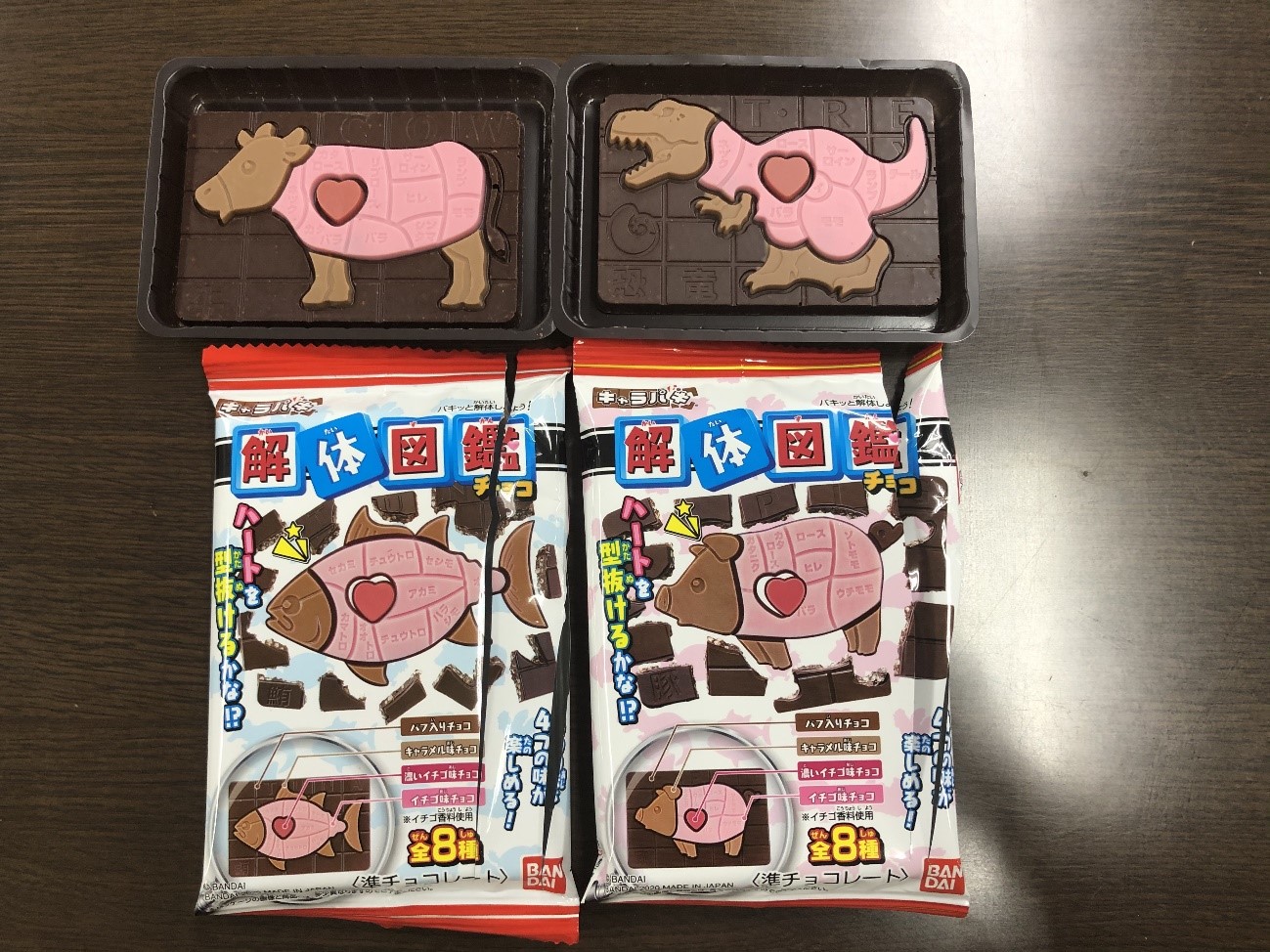 解体図鑑チョコ