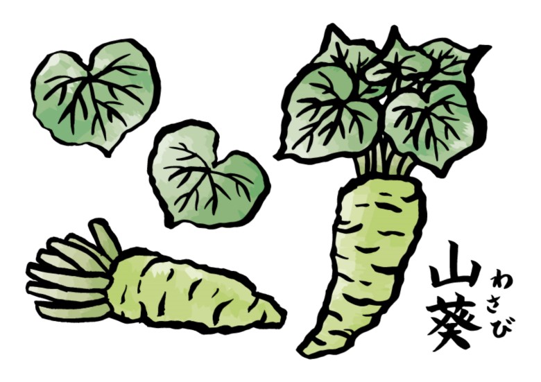わさびイラスト