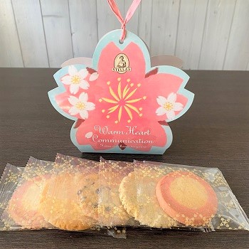 アントステラパッケージ中身