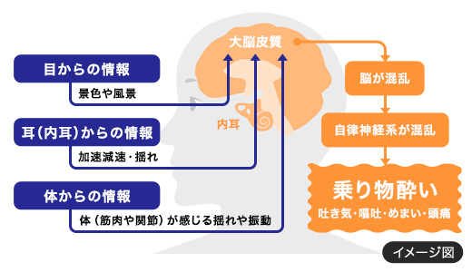 エスエス製薬車酔いのメカニズム