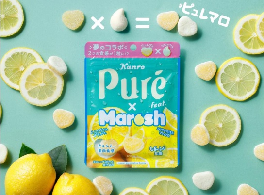 ピュレグミ×マロッシュイメージ