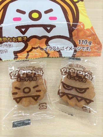 ミニヤッカ②