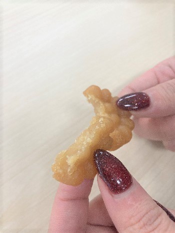 ミニヤッカ④