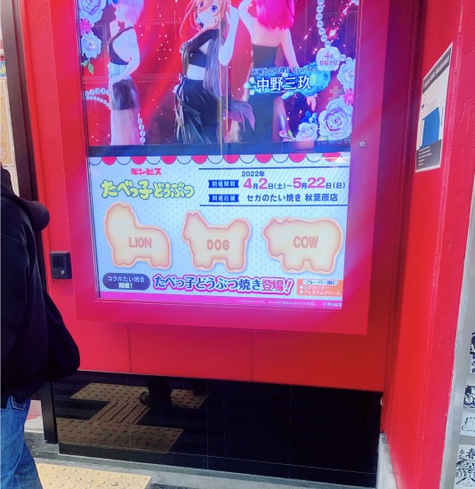 入口の電子公告
