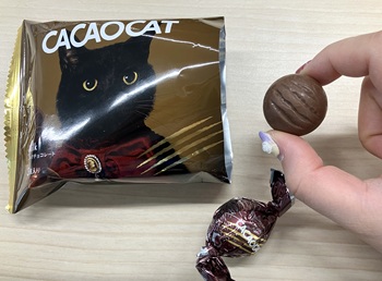 DADACA　CACAOCAT ミルク 3個入を実食