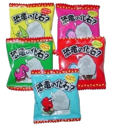 一榮食品　恐竜の化石
