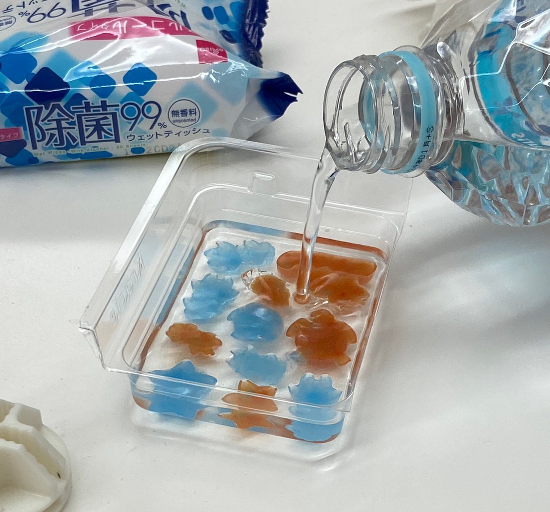 食べ比べ知育菓子１０